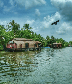 Day 8: Leisure Day in Kumarakom