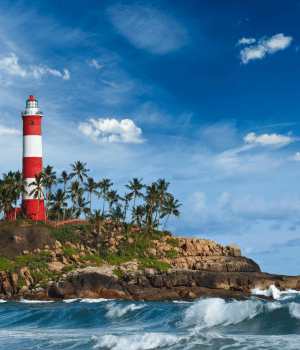 Day 10: Departure from Trivandrum