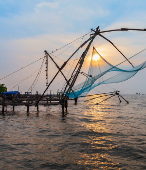 Day 4 -  To Cochin || Cochin local sightseeing|| Cochin