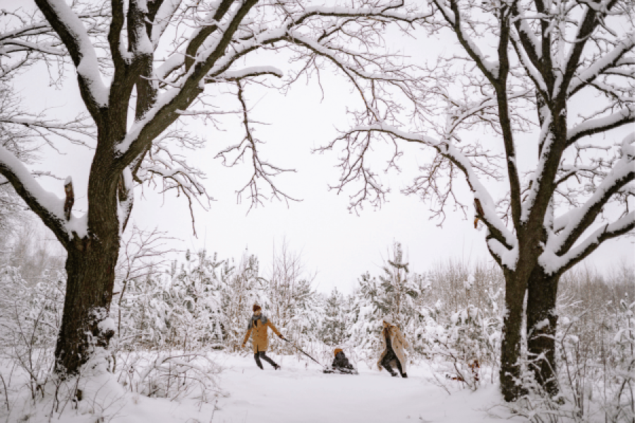Exquisite Kashmir Honeymoon