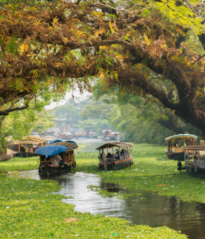 Day 3 -  To Alleppey || Alleppey local sightseeing|| Alleppey