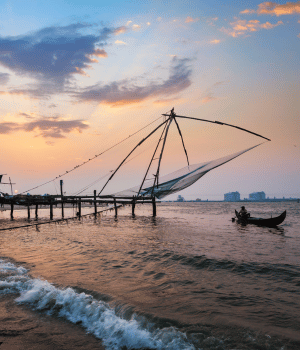 Day 3: Cochin Exploration and Departure