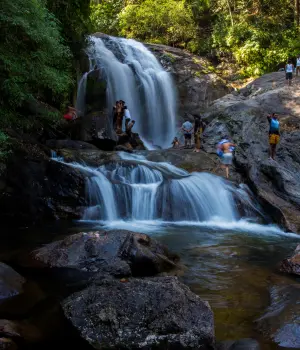 Day 3: Cochin – Athirapally (2 hrs)