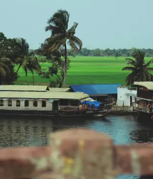 Day 2 : Alleppey Departure